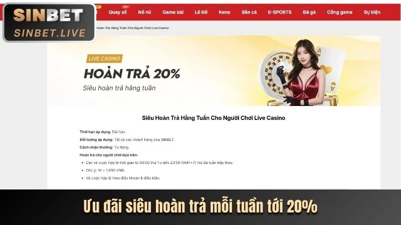 Hoàn trả cực cao không giới hạn